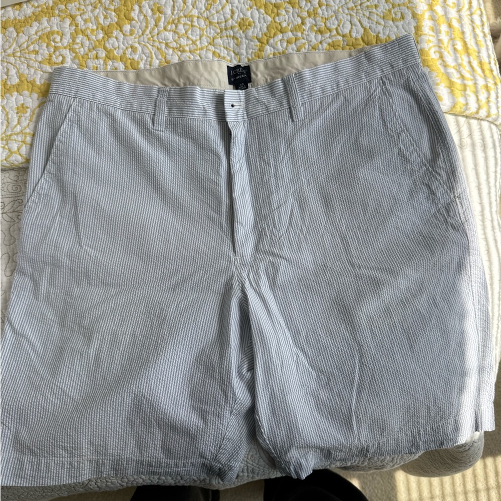 J. Crew Shorts